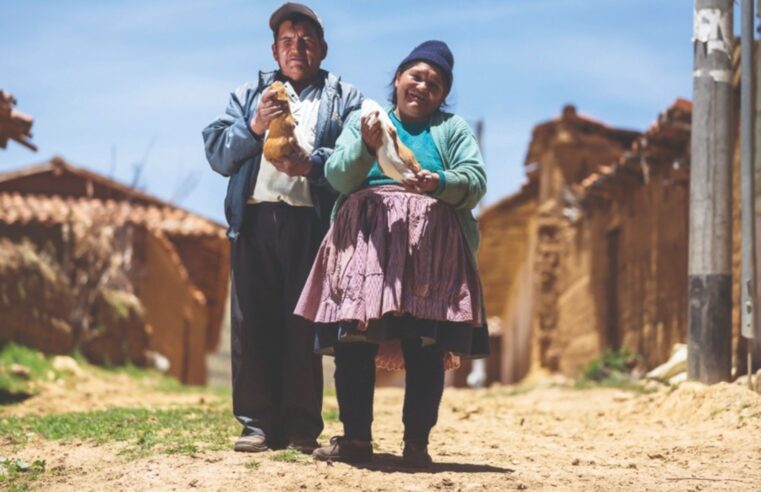 Productores de Ccayarpachi amplían conocimientos en crianza de cuy