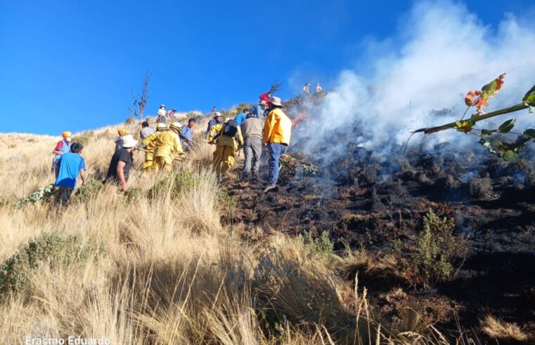 Alerta ante incendios forestales que podrían afectar parques arqueológicos