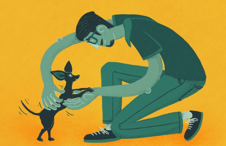 ¿CÓMO ME DI CUENTA DE LA DOMESTICACIÓN?