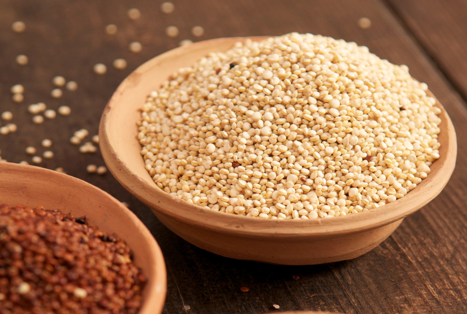 Kiwicha, cañihua, quinua, tarwi y muchos más de nuestros granos andinos son deliciosos y de alto valor nutritivo