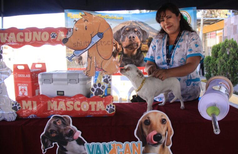VanCan 2025 busca inmunizar a 340 mil perros en Arequipa