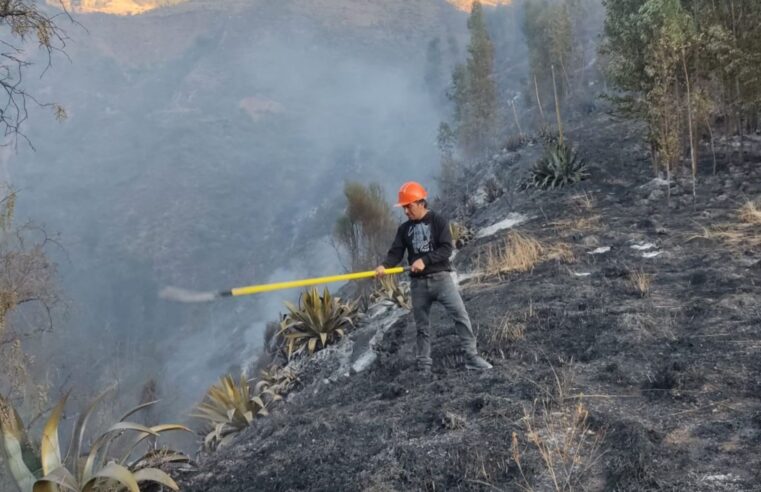 Región suma 11 incendios forestales este año, cuatro en la última semana