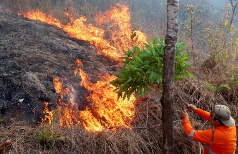 Alerta roja ante posibles incendios forestales que afectarían a la región