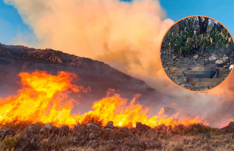 Incendio forestal en caserío Milagros arrasó con 21 hectáreas de vegetación