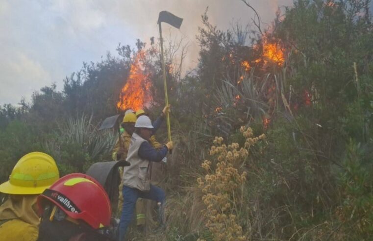 Incendios forestales dejan un fallecido y van en aumento