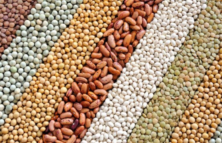 Consumo de legumbres en Perú alcanzó las 97 mil toneladas