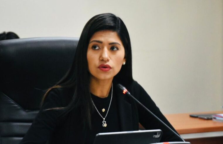 Gonzáles: Confemin «amenazó con retirarse» de mesa de trabajo