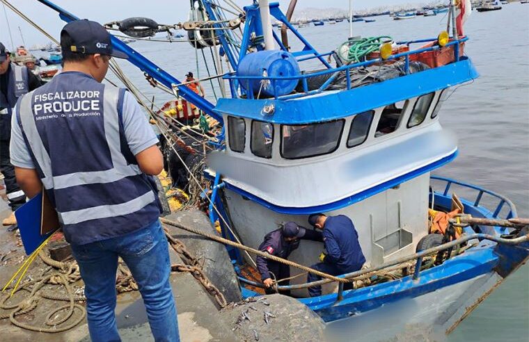 Solo cinco fiscalizadores controlan pesca en litoral arequipeño