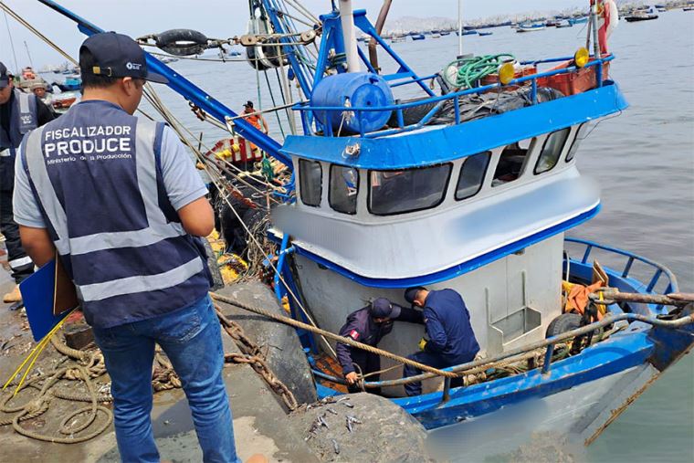 Solo cinco fiscalizadores controlan pesca en litoral arequipeño
