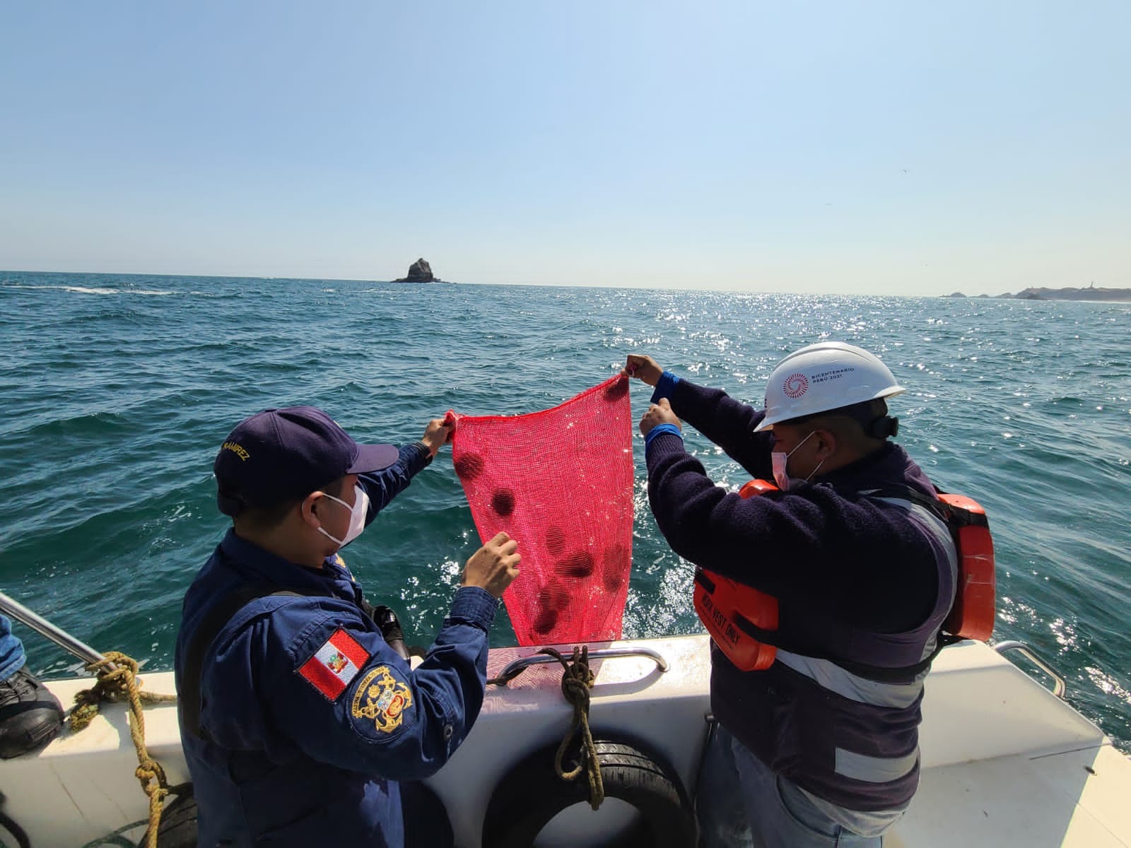 Pescadores de Cháparra denuncian pesca indiscriminada de erizo de mar