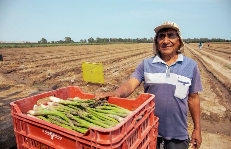 Perú busca agilizar el acceso a nuevos mercados para sus agroexportaciones