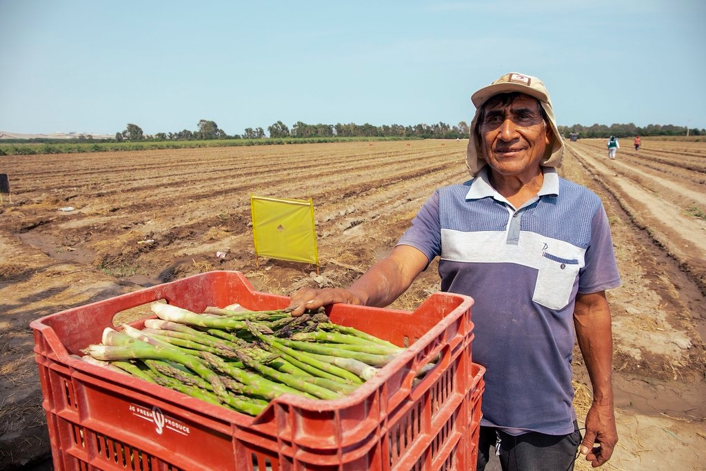 Perú busca agilizar el acceso a nuevos mercados para sus agroexportaciones