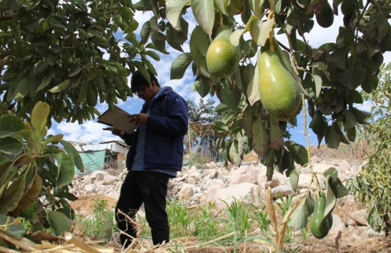 Moquegua busca crear corredores turísticos con Arequipa y el sur del país