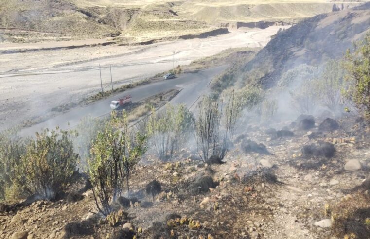 Controlan incendio forestal en distrito de Ichupampa