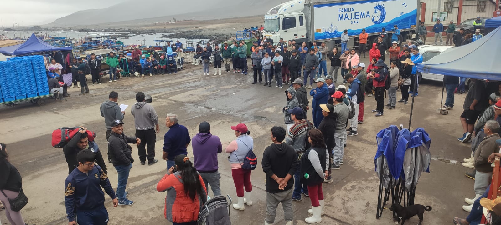 Pescadores del sur alistan paro indefinido exigiendo cuota diferenciada de pota