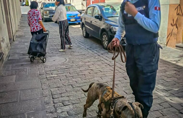 Brigada canina realiza patrullaje preventivo en calles céntricas