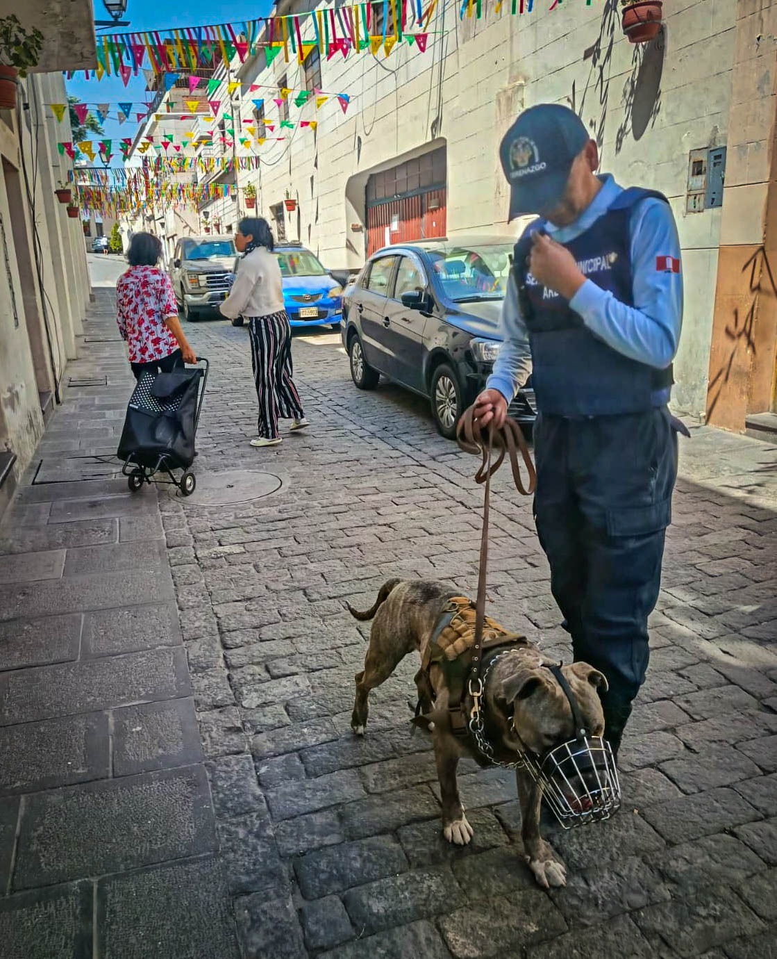 Brigada canina realiza patrullaje preventivo en calles céntricas