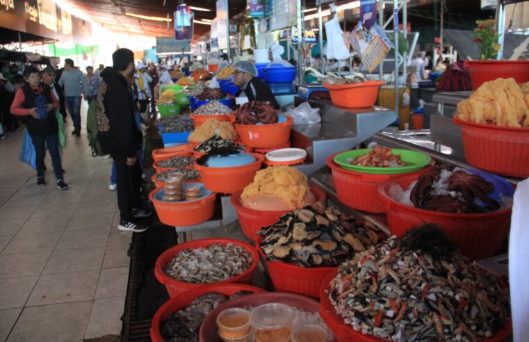 El Palomar: medio siglo de historia y la promesa de una remodelación que cambiará el corazón pesquero de Arequipa