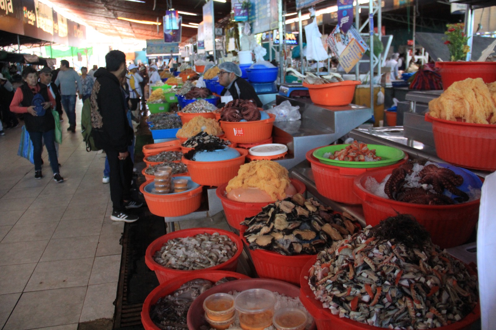 El Palomar: medio siglo de historia y la promesa de una remodelación que cambiará el corazón pesquero de Arequipa