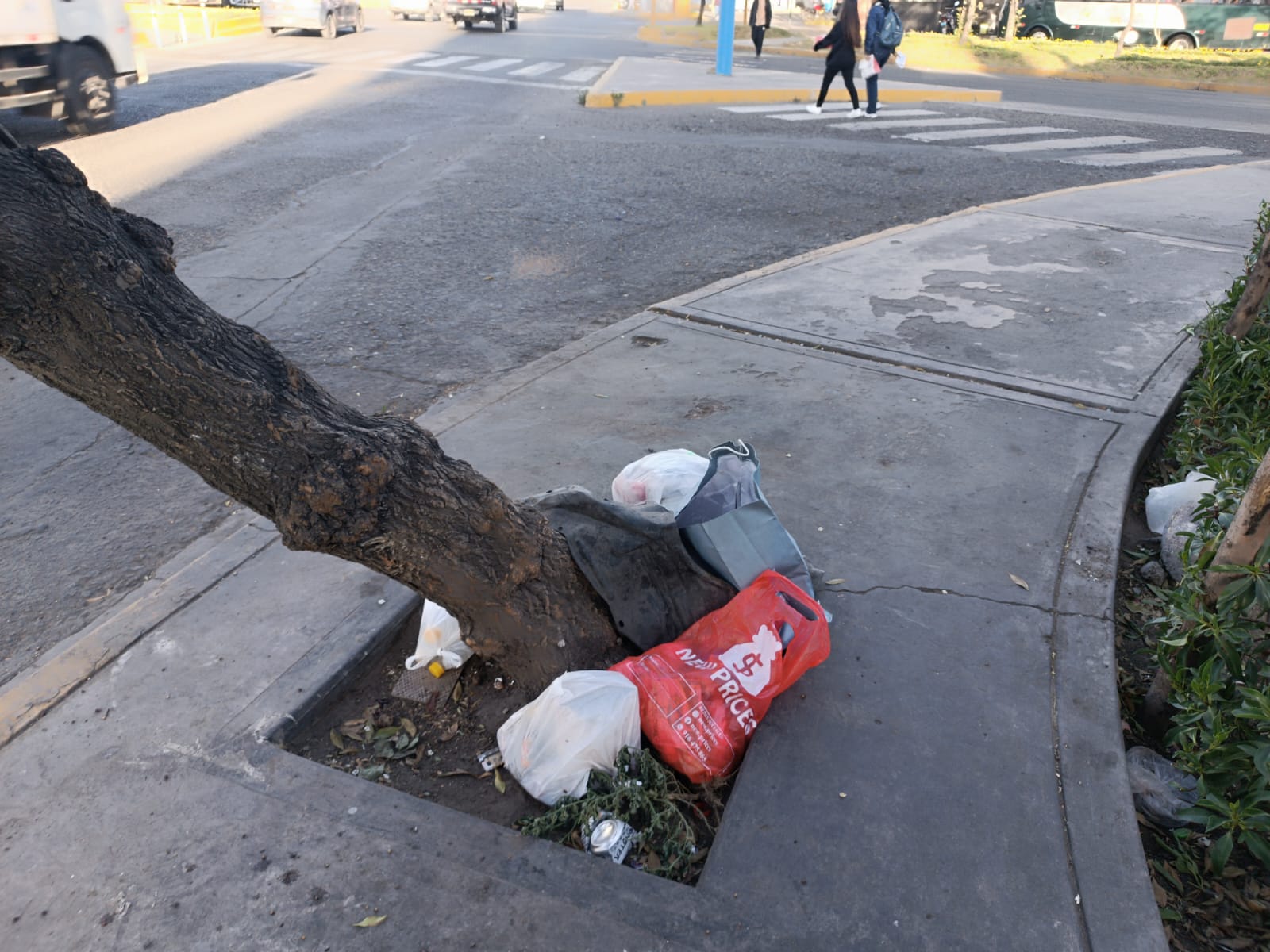 FOTO DE HOY MARTES 12 DE AGOSTO