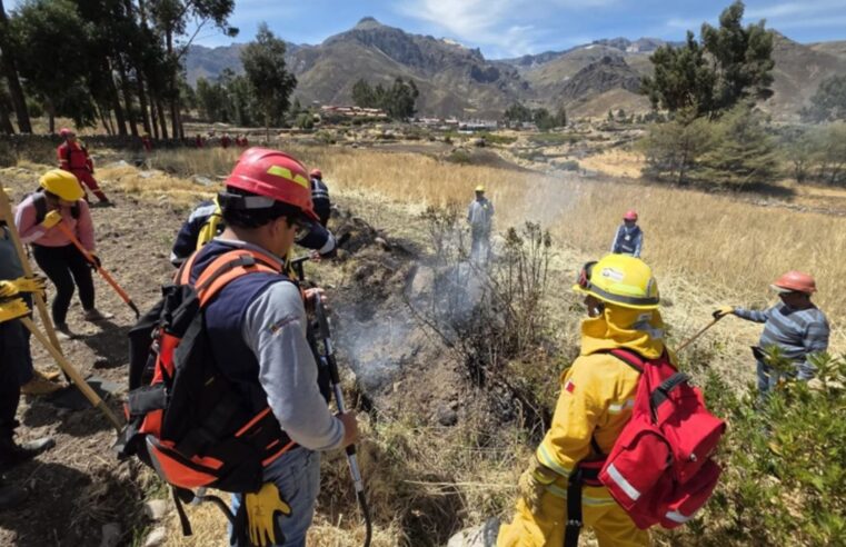 Capacitan a personal municipal de Caylloma para incendios forestales