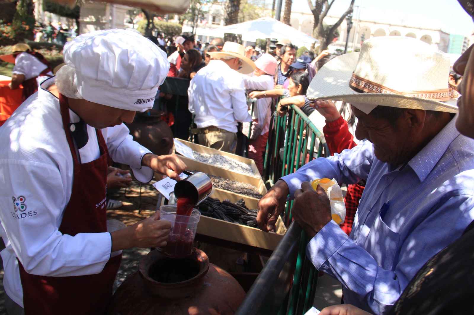 Fiesta de la Chicha de Arequipa fue una celebración tradicional