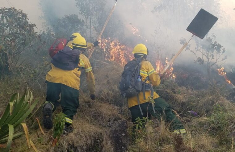 Cusco reporta la mayor cantidad de incendios forestales activos