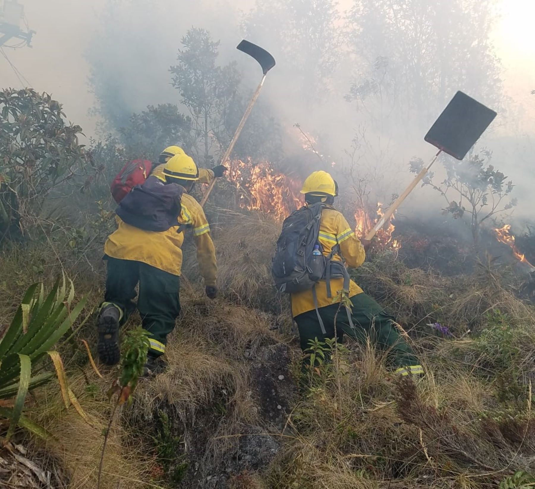 Cusco reporta la mayor cantidad de incendios forestales activos