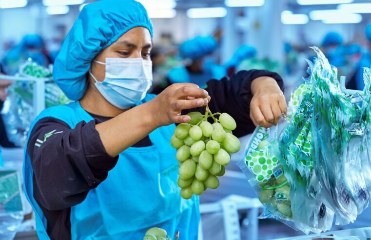 Exportaciones no tradicionales peruanas a México crecen 25 %