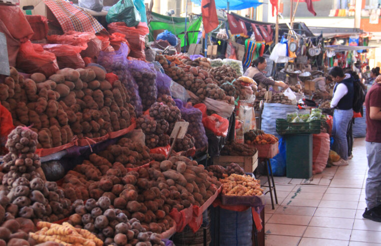 Precio del limón se “dispara” nuevamente en Arequipa