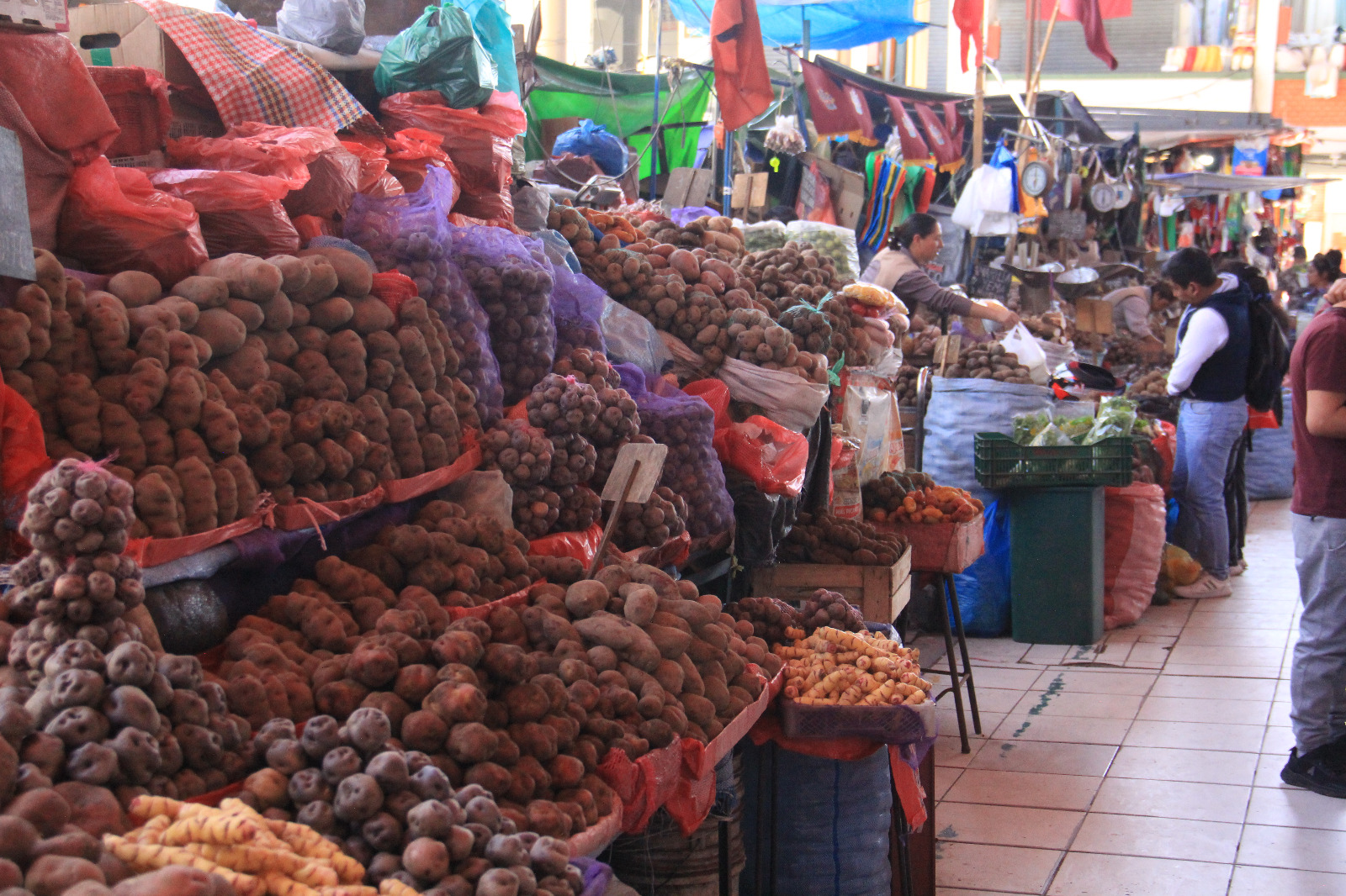 Precio del limón se “dispara” nuevamente en Arequipa