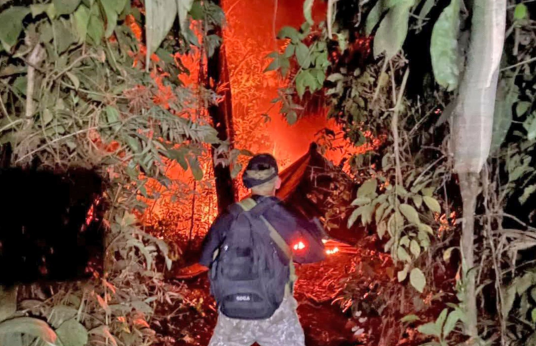 Ejército: duro golpe contra el narcotráfico en el Vraem