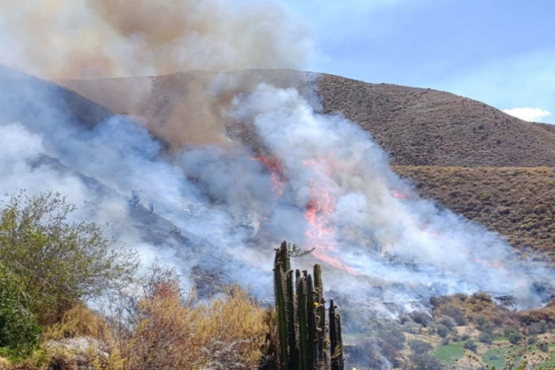 Incendio forestal afecta pastos naturales en provincia Castilla