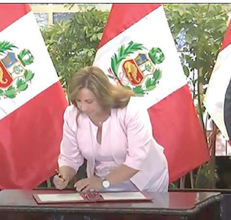 Boluarte promulga ley de amnistía a las  FF.AA., PNP y comités de autodefensa