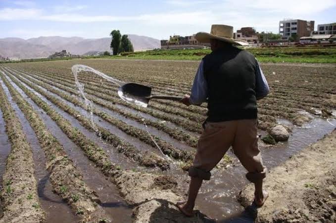 “ES UN ENGAÑO DE MUCHACHOS”. Agricultores arequipeños completamente decepcionados de Rohel Sánchez