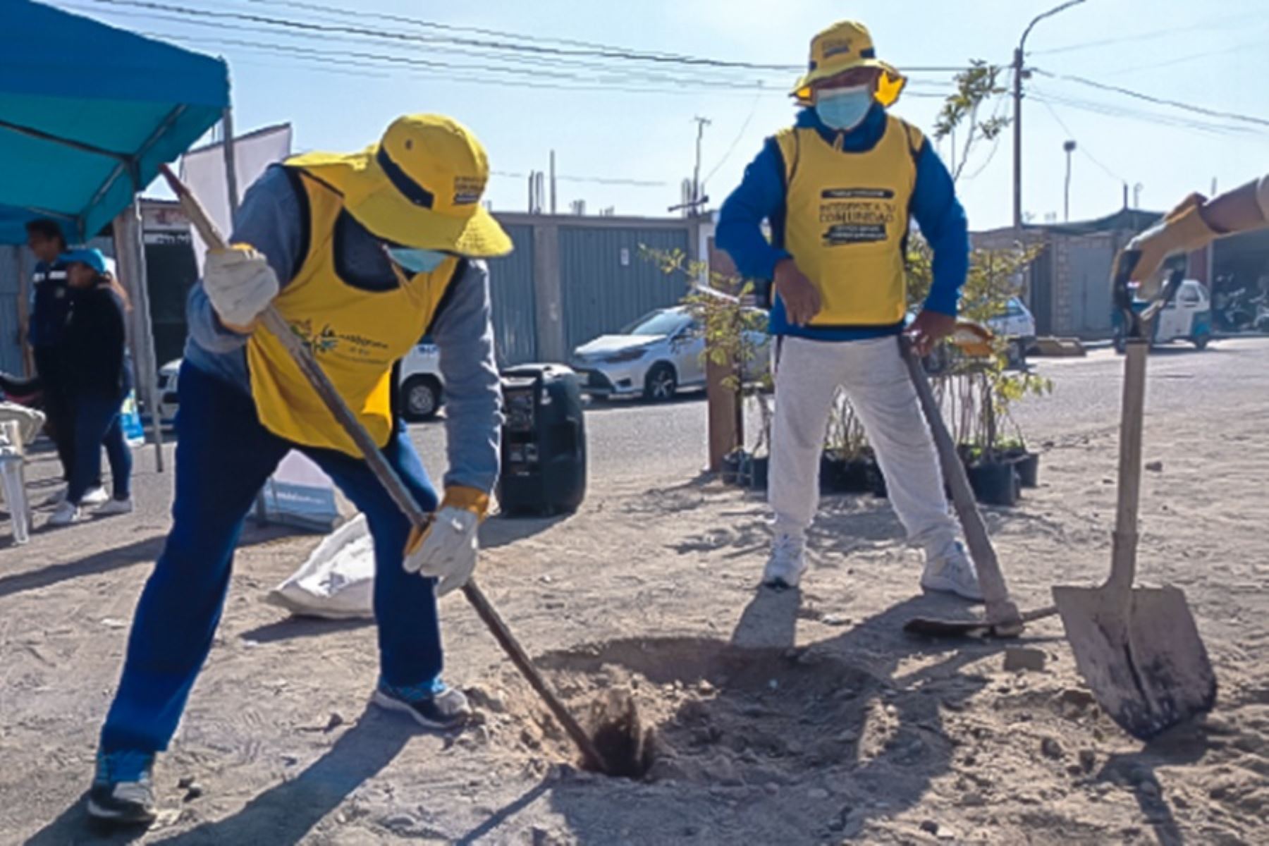 Más de 1 800 sentenciados de 28 ciudades en campaña nacional