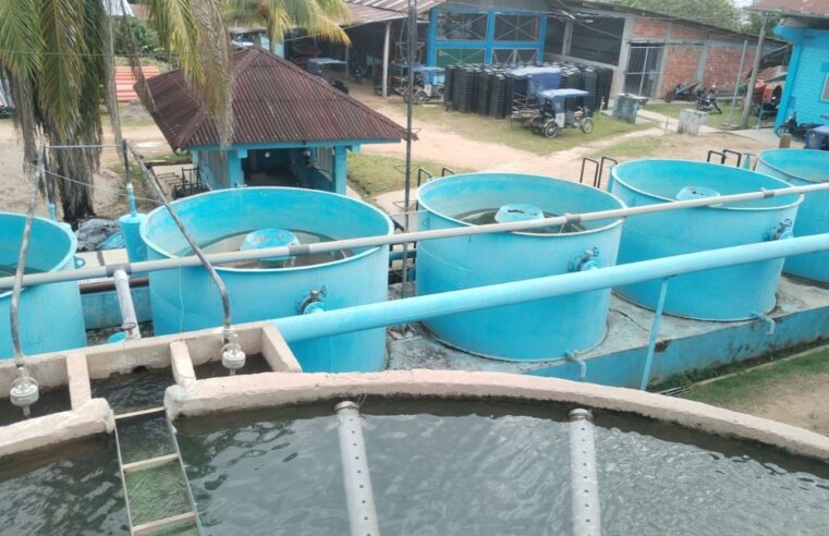 Invierten S/ 4.6 millones para optimizar servicios de agua potable