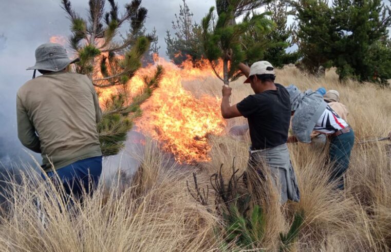 Incendios forestales arrasan hectáreas en Huamanga y Cangallo