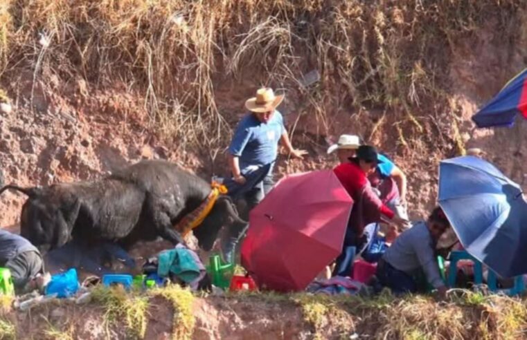 Toro sale de ruedo en fiesta patronal en Pomacocha y deja al menos 5 heridos