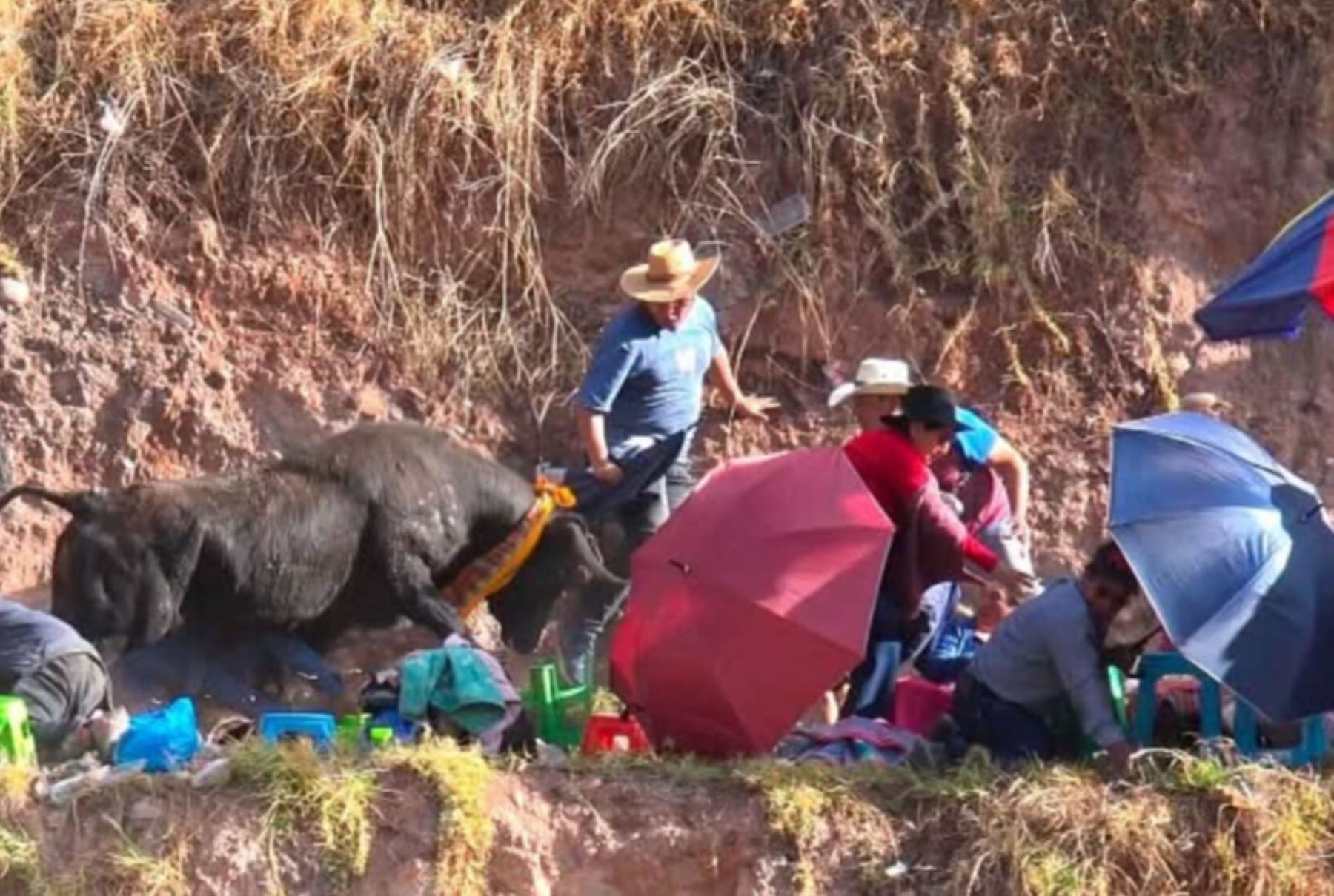 Toro sale de ruedo en fiesta patronal en Pomacocha y deja al menos 5 heridos
