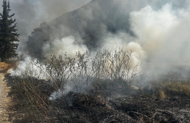 Indeci: se reportaron más de 200 incendios forestales en solo un mes