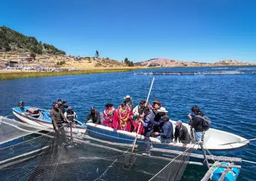 Proyectan producir 20 toneladas de pejerrey en el lago Titicaca