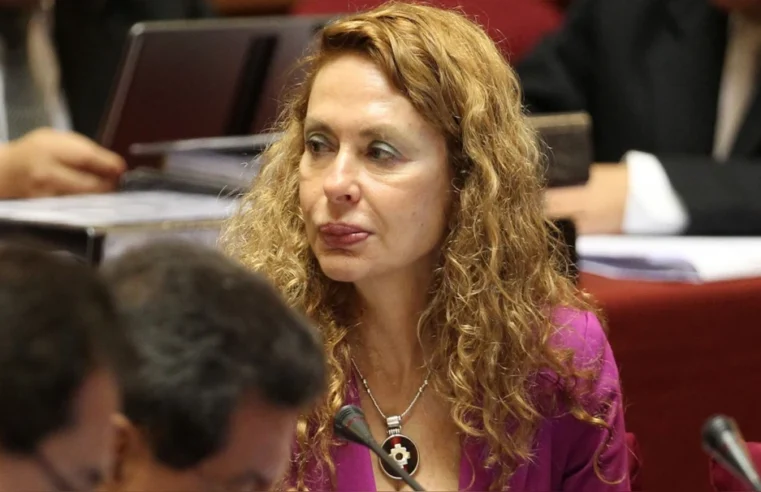 Ecoteva: TC rechazó un habeas corpus de Karp