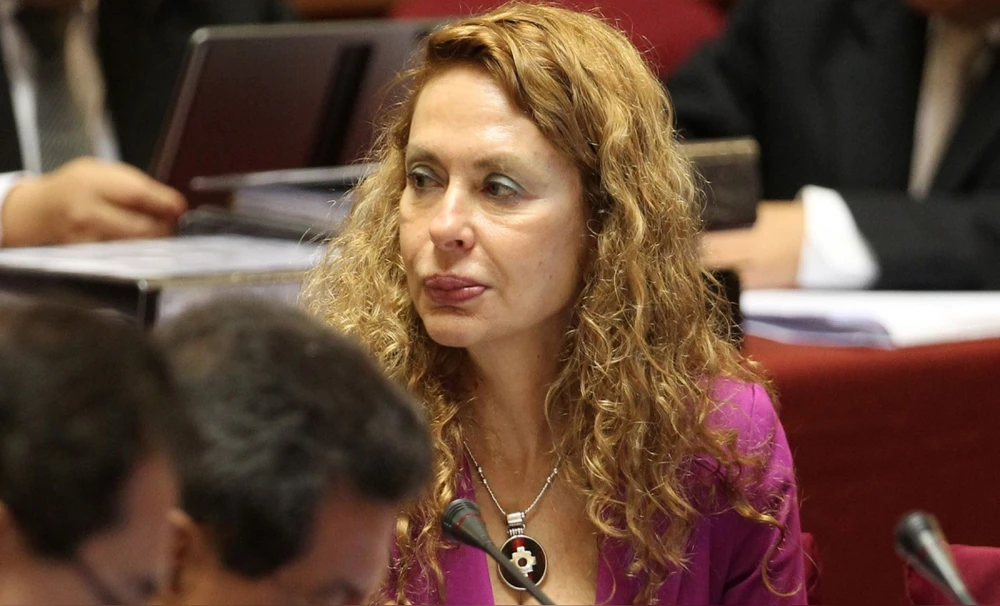 Ecoteva: TC rechazó un habeas corpus de Karp