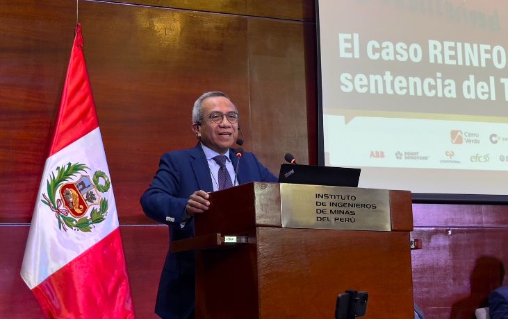 Disposición del TC sobre el Reinfo abre la oportunidad a formalización más eficaz