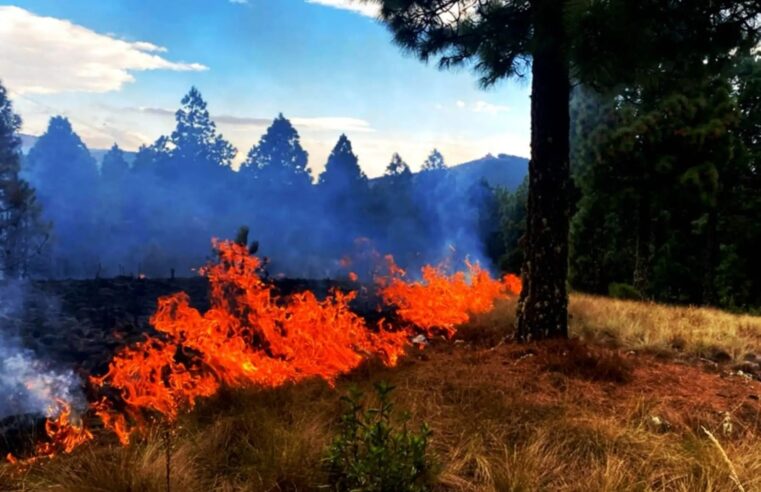 Confirman 18 incendios forestales y alertan sobre otros 23 en 10 regiones