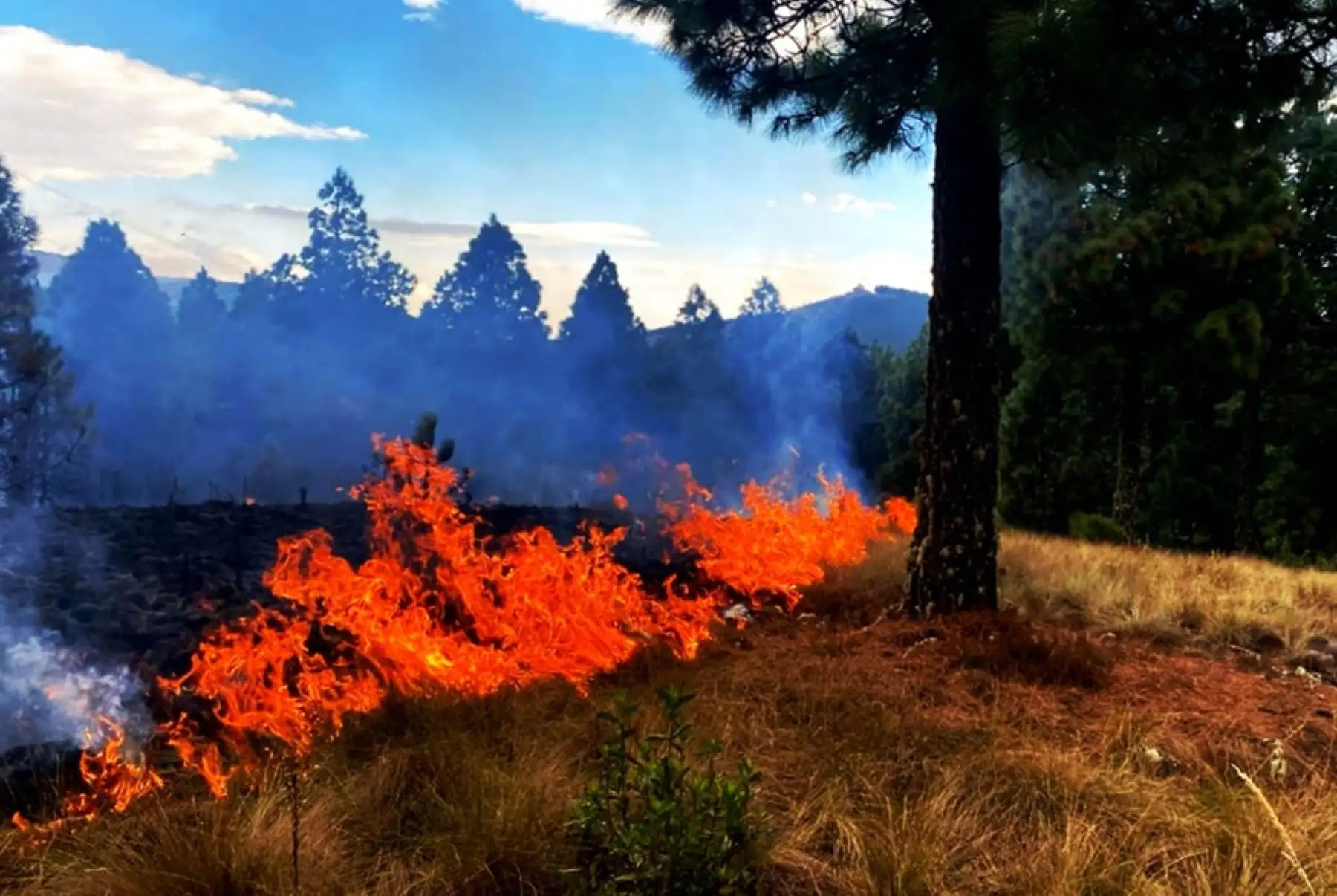 Confirman 18 incendios forestales y alertan sobre otros 23 en 10 regiones