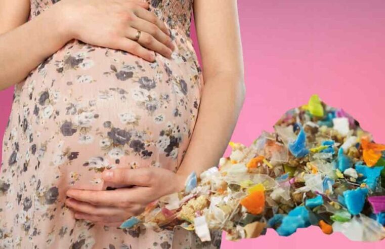 Organismo de recién nacidos registran contaminación plástica