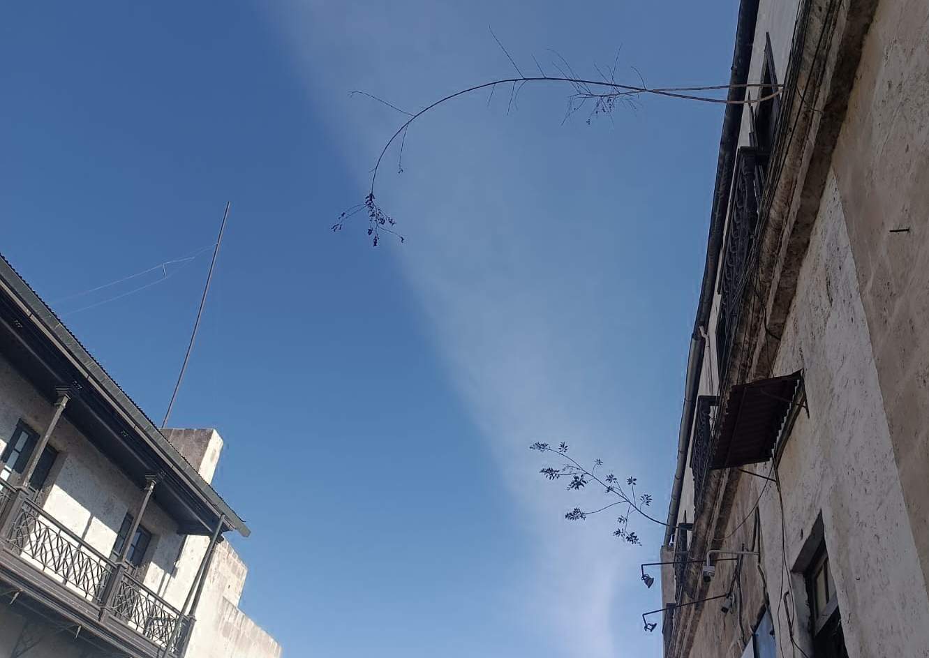 FOTO DE HOY MIERCOLES 03 DE SETIEMBRE