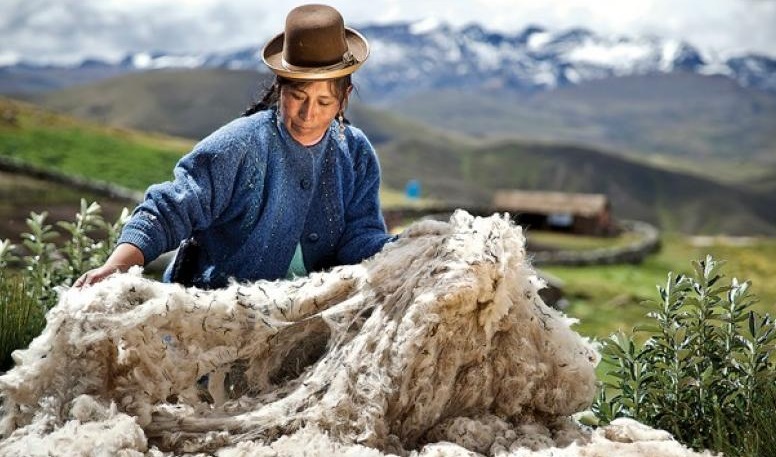 Arequipa es la tercera región que más exportó en primeros meses del 2025